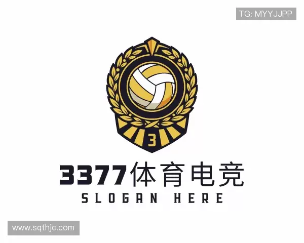 了解3377体育电竞